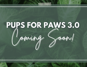 Pups For Paws 3.0